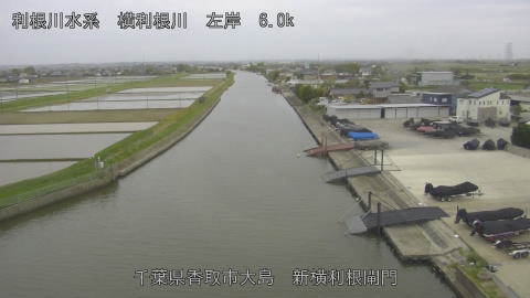 yoko2026042217_image