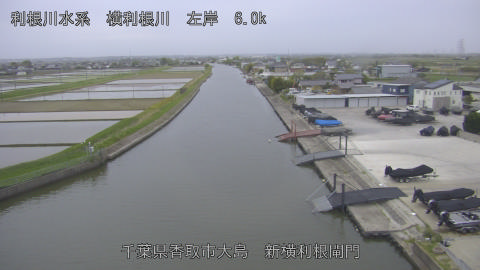 yoko2026042218_image