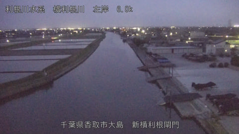 yoko2026042219_image