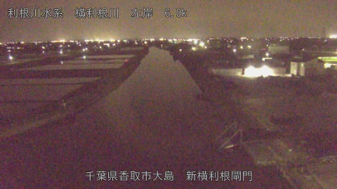 yoko2026042220_image