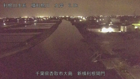 yoko2026042221_image