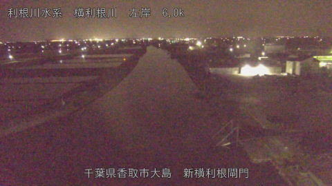 yoko2026042223_image