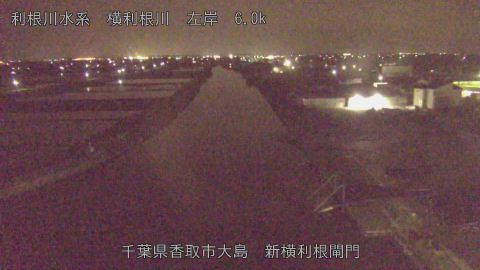 yoko2026042300_image