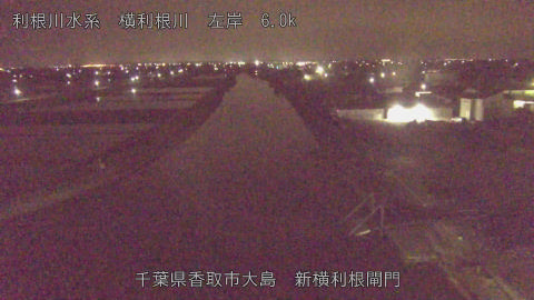 yoko2026042301_image