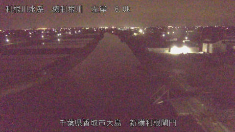 yoko2026042302_image