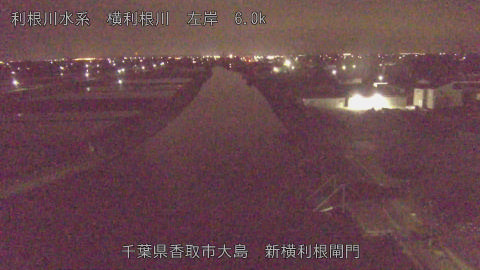 yoko2026042303_image