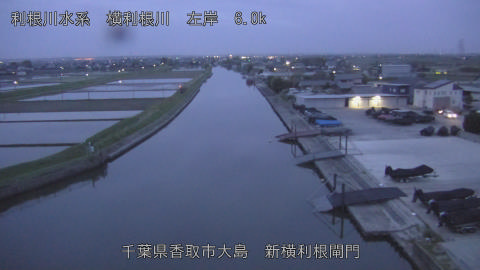 yoko2026042305_image