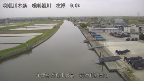 yoko2026042306_image