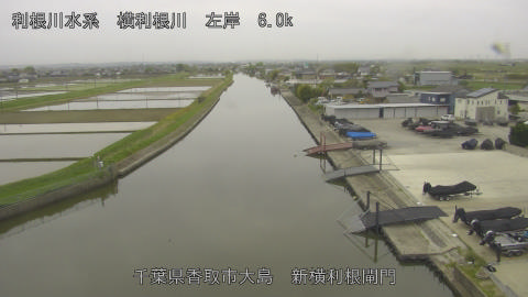 yoko2026042307_image