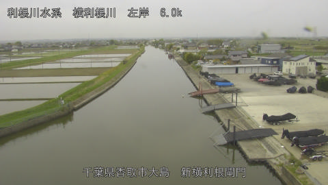 yoko2026042308_image