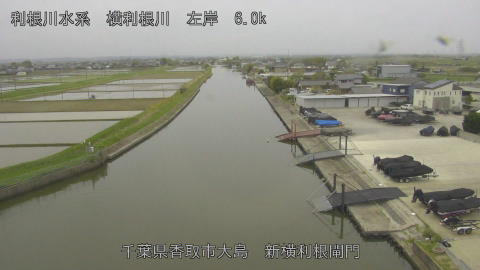 yoko2026042311_image