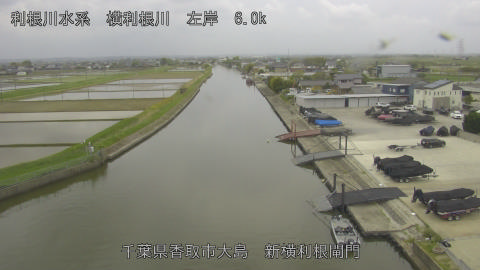 yoko2026042312_image