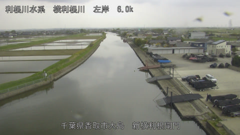 yoko2026042313_image