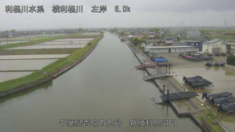 yoko2026042314_image