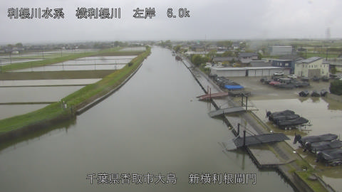 yoko2026042315_image