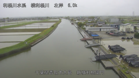 yoko2026042316_image