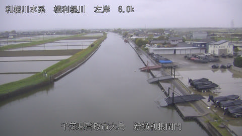 yoko2026042318_image