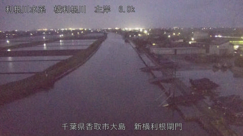 yoko2026042319_image