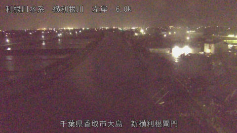 yoko2026042323_image