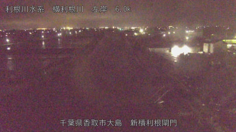 yoko2026042400_image