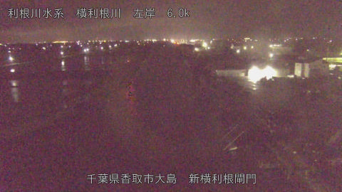 yoko2026042401_image