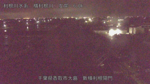 yoko2026042402_image