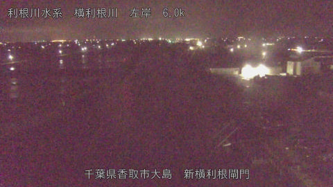 yoko2026042403_image