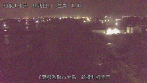 yoko2026042404_image