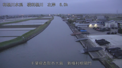 yoko2026042405_image