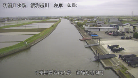 yoko2026042406_image