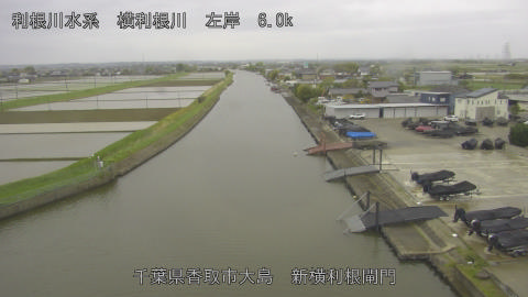 yoko2026042407_image