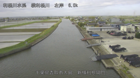 yoko2026042408_image