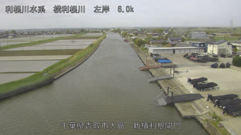 yoko2026042409_image