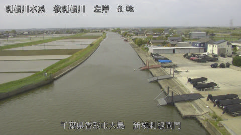 yoko2026042410_image