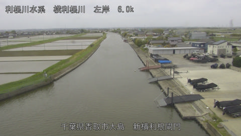 yoko2026042411_image