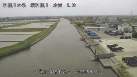 yoko2026042412_image