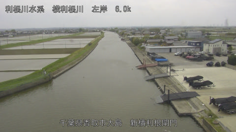 yoko2026042413_image