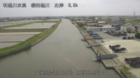 yoko2026042414_image