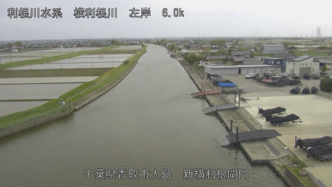 yoko2026042416_image