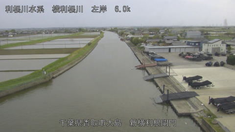 yoko2026042417_image