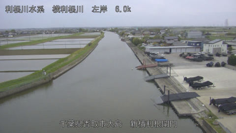 yoko2026042418_image