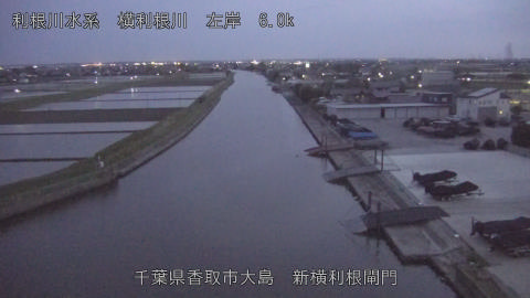 yoko2026042419_image