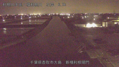 yoko2026042420_image