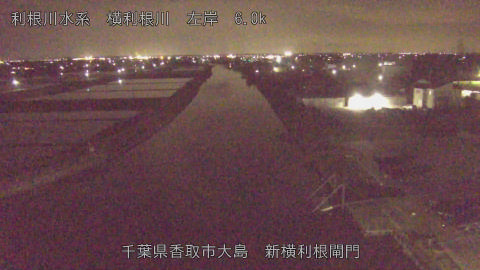 yoko2026042421_image