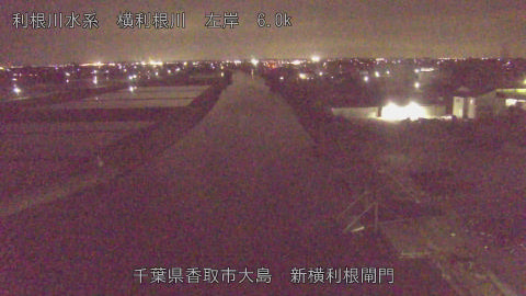 yoko2026042422_image