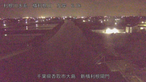 yoko2026042423_image