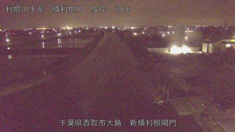 yoko2026042500_image