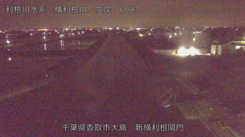 yoko2026042501_image