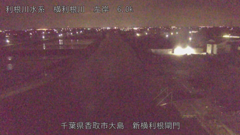 yoko2026042502_image