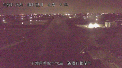 yoko2026042503_image